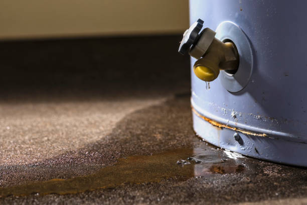 Best Water damage contractors near me  in Lake Helen, FL