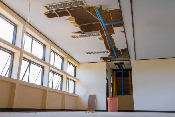 Best Flood restoration services  in Lake Helen, FL