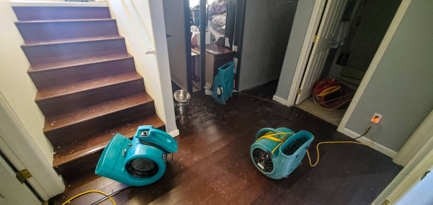 Lake Helen, FL Water damage restoration Pros