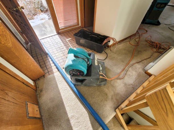 Water damage restoration mold remediation in Lake Helen, FL