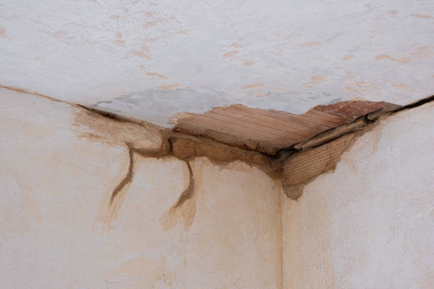Best Basement water damage restoration  in Lake Helen, FL