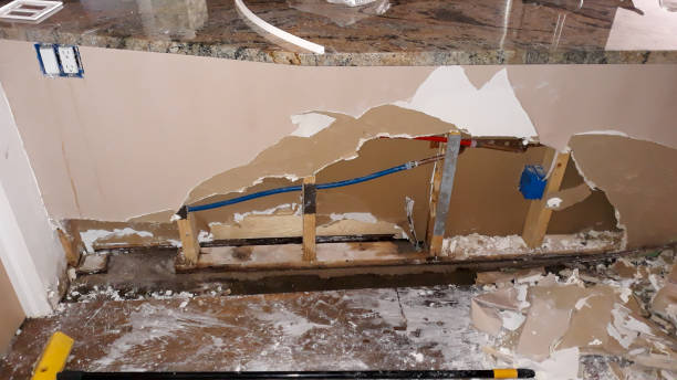 Best Emergency water damage restoration  in Lake Helen, FL