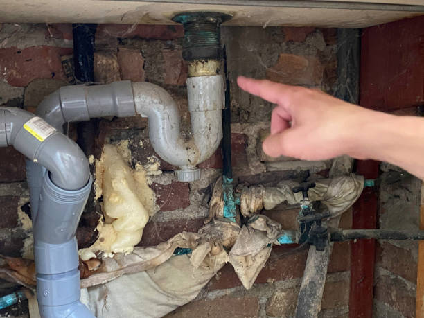 Best Residential water damage restoration  in Lake Helen, FL