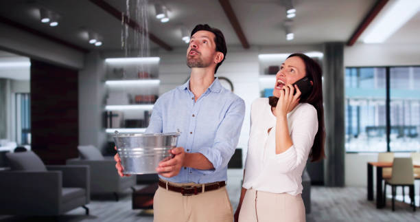 Best Fire Damage Restoration  in Lake Helen, FL