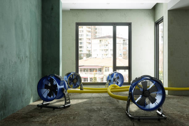 Trusted Lake Helen, FL Water damage restoration Experts